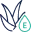 Aloe Vera & Vitamin E